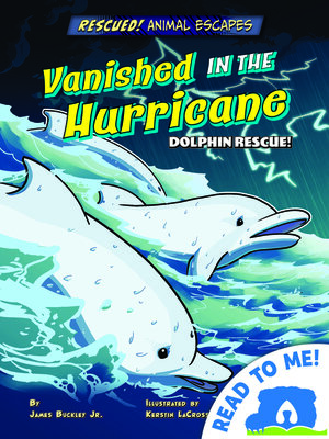 cover image of Vanished in the Hurricane